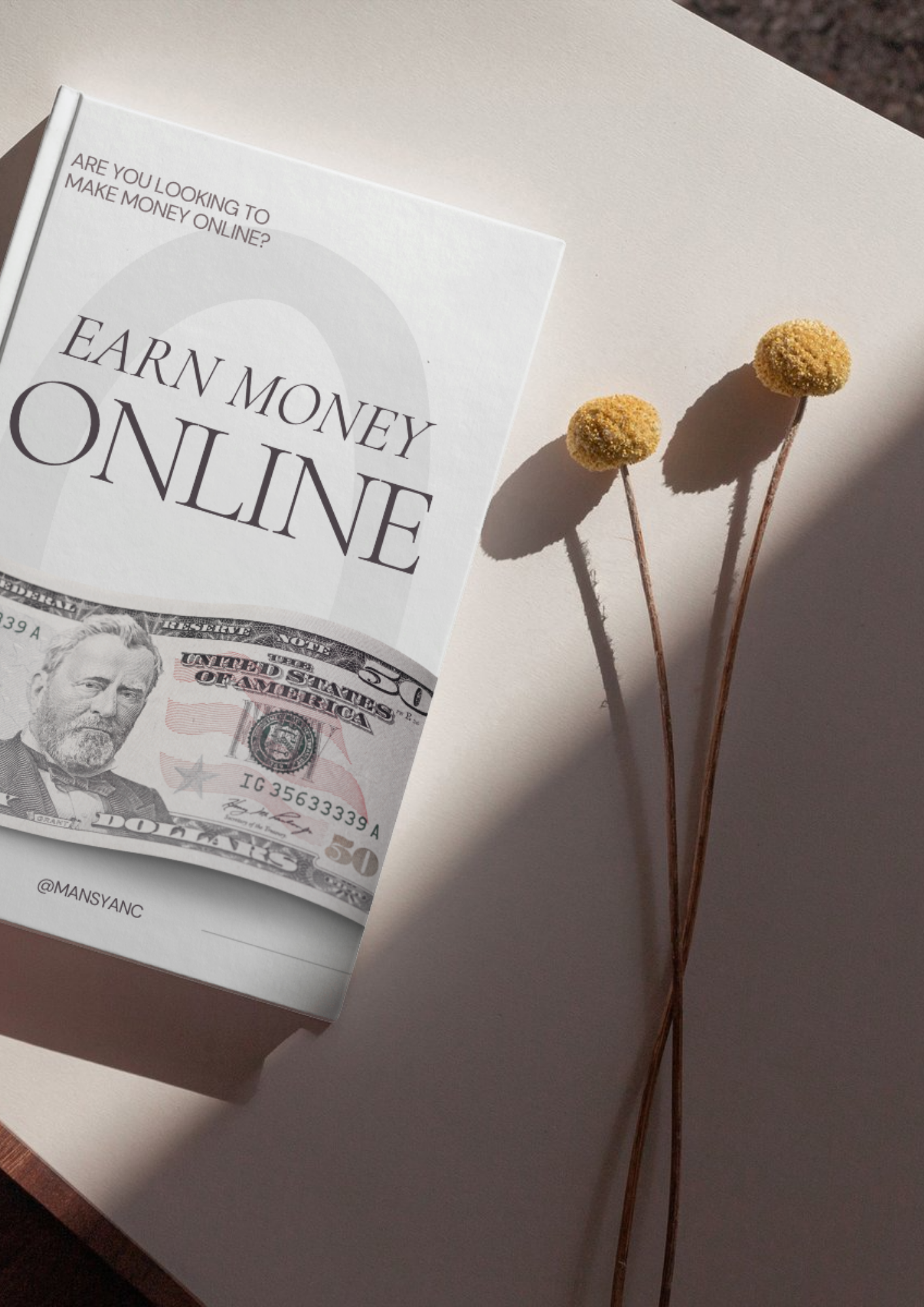 Online Money Guide for Beginners